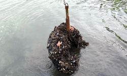 Kocaeli'de deniz dibinden 50 lastik çıktı