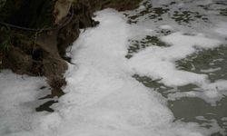 Köpüren dereden ağır kokular yükseliyor