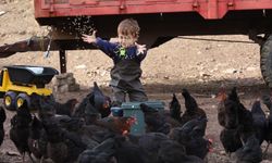 95 Projeye 1 Milyar 455 Milyon TL Destek