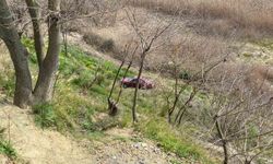 Frenine bakmak için indi, aracı gözlerinin önünde şarampole yuvarlandı