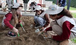 Kartepeli miniklerden tarihe yolculuk