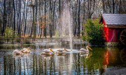 Bayramda Kapınız Doğaya Açılsın