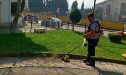 Körfez’de Yeşil Alanlarda Bahar Bakımı