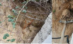 Fidan Dikiminde İnsan Kafatası ve Kemik Parçaları Bulundu