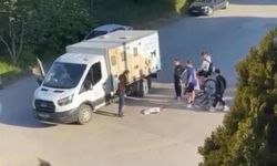 Çocuklar Yaralı Kedinin Üzerini Örtüp, Başında Nöbet Tuttu