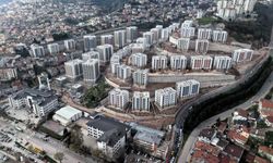 Cedit Kentsel Dönüşüm Projesi'nde çevre düzenlemesi devam ediyor