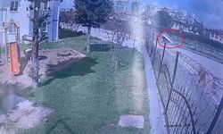 Dereye uçan kamyonetin sürücüsü hayatını kaybetti