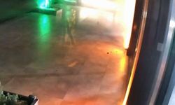 Kocaeli'de oto galeriye el bombalı saldırı: 5 kişi tutuklandı