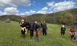 Kocaeli'nin Saklı Cennetinde Ekolojik Keşif Yürüyüşü