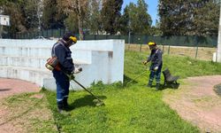 Kandıra’da Ot Biçme ve İlaçlama Seferberliği