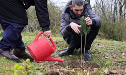 Fidanlar Engelsiz Hayat İçin Dikildi