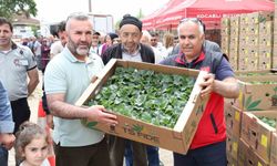 Gebzeli çiftçiye 500 bin sebze fidesi desteği