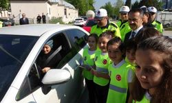Minik trafik dedektifleri görev başında: Hem öğrendi hem öğretti