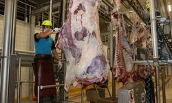 Kurban Kesim Başvuruları 11 Mayıs’ta Başlıyor