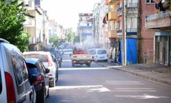 Çayırova'da daha rahat bir yaz için vektörle mücadeleye hız verildi