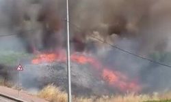 Darıca'da arazide korkutan yangın