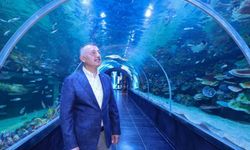 Kocaeli'de dev akvaryum kapılarını açıyor
