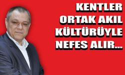 Körfez’deki Ortak Aklın  Kurucuları Söğüt Ve Önal’dır