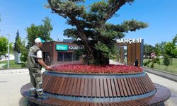 Gebze Millet Bahçesi Yazın Daha da Şenlenecek