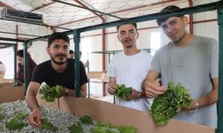 KOÜ Öğrencileri İpekböceği Kozaevi’nde Üretim Sürecini Yerinde İnceledi