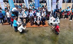 “Yaşamın İzinde: Deniz Yuvaları Projesi” Darıca Sahili’nde Büyüyor