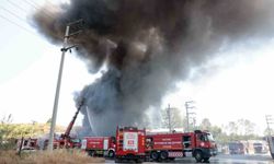 Kocaeli'de boya fabrikası alevlere teslim oldu