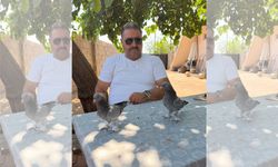 Kocaeli’de Büyük Oyun  Kuşu Heyecanı Başladı