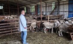 Hayvancılığa Bütüncül Destek