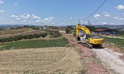 Kandıra Belediyesi’nden Fındık Hasadı Öncesi Üreticiye Yol Desteği