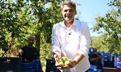 Başkan Kocaman’dan Armut Şenliği’ne Davet