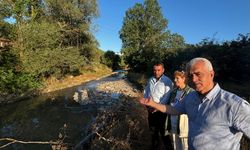 Gergerlioğlu, “Gebze’deki Kocagöl Deresi Sanayi Tesisleri Yüzünden Kirlilik Alarmı Veriyor!”