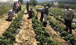 Dağköy'de kadın ve gençlerle üretim büyüyor