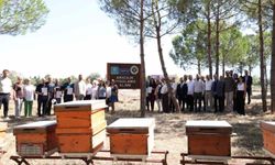 Tarım Akademisi'nde sertifika heyecan