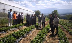 Kadınlar ve Gençler Toprağa Değer Katıyor