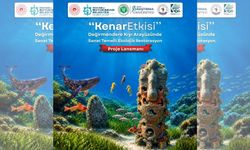 Bir Zamanlar Çamurdu, Şimdi Yaşamın Yuvası Oldu