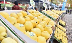 7. Kartepe Ayva Festivali ertelendi