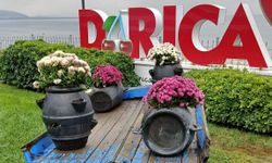 Darıca'da yeşil alanlar mevsimlik çiçeklerle renkleniyor