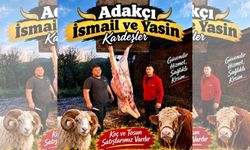 Adakçı Kardeşlerden Sağlıklı Kesim Hizmeti