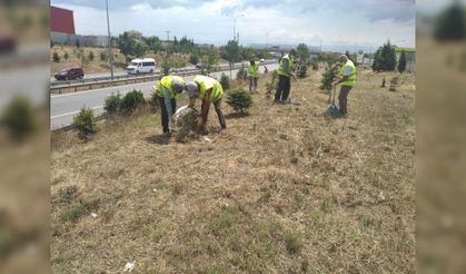 Gebze’de D-100 ve Otoyol Kenarlarında Temizlik Yapıldı