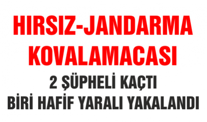 Hırsız-jandarma Kovalamacası