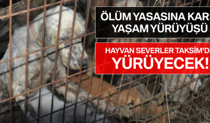 Ölüm Yasasına Karşı Yaşam Yürüyüşü