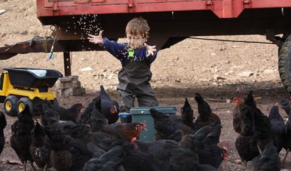 95 Projeye 1 Milyar 455 Milyon TL Destek