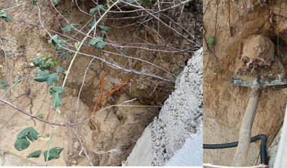 Fidan Dikiminde İnsan Kafatası ve Kemik Parçaları Bulundu