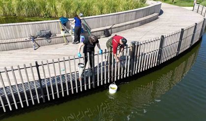 İzmit Millet Bahçesi’nde Su Göletine Bilimsel Çalışma