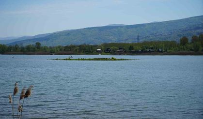 Sapanca Gölü Çekildi: Gizemli Ada Yeniden Ortaya Çıktı