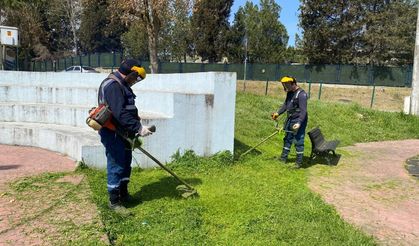Kandıra’da Ot Biçme ve İlaçlama Seferberliği