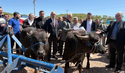 Kocaeli’de Hayvancılık, Büyükşehir’le Daha Kolay