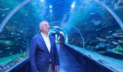 Kocaeli'de Dev Akvaryum Kapılarını Açıyor