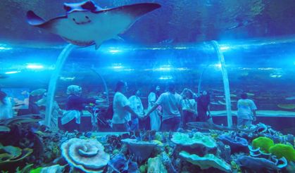 Körfez Aqua 7’den 70’e Herkesi Büyüledi