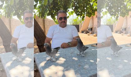 Kocaeli’de Büyük Oyun  Kuşu Heyecanı Başladı